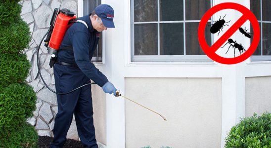 Niğde Hamam Böceği İlaçlama böcek ilaçlama ve haşere kontrolü — ilaclama-tr.com